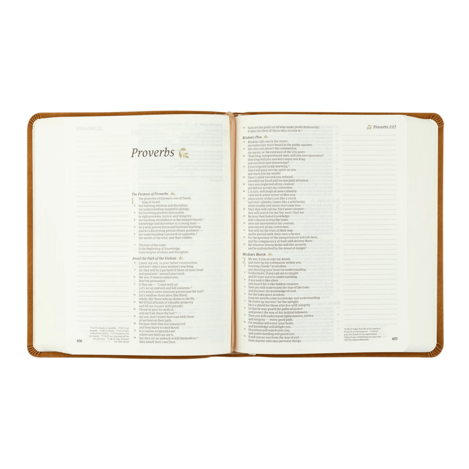 Amelia CSB Notetaking Bible - Lizzy G's Fine Gifts