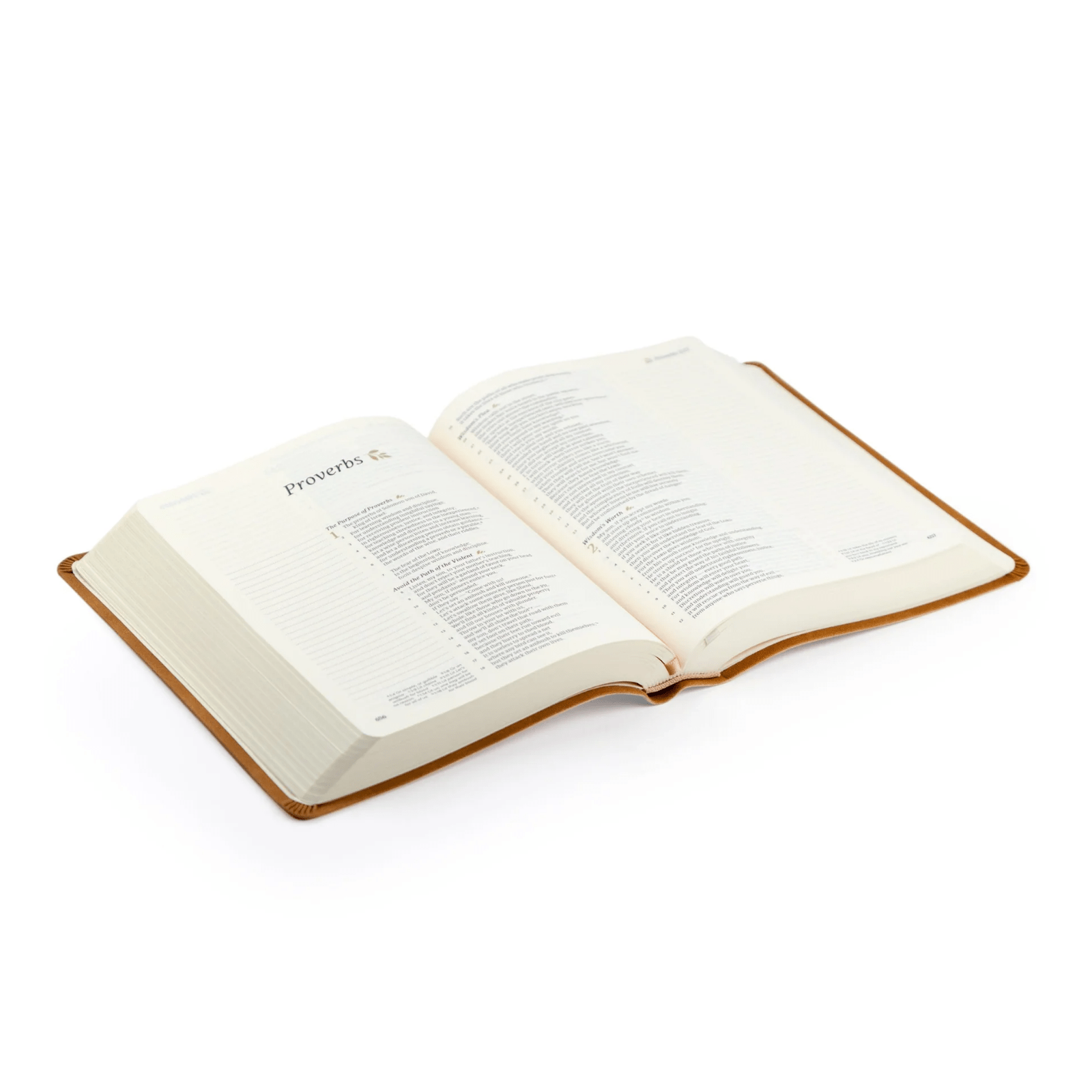 Amelia CSB Notetaking Bible - Lizzy G's Fine Gifts