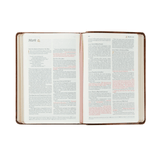 Aurora NLT Compact Bible - Lizzy G's Fine Gifts