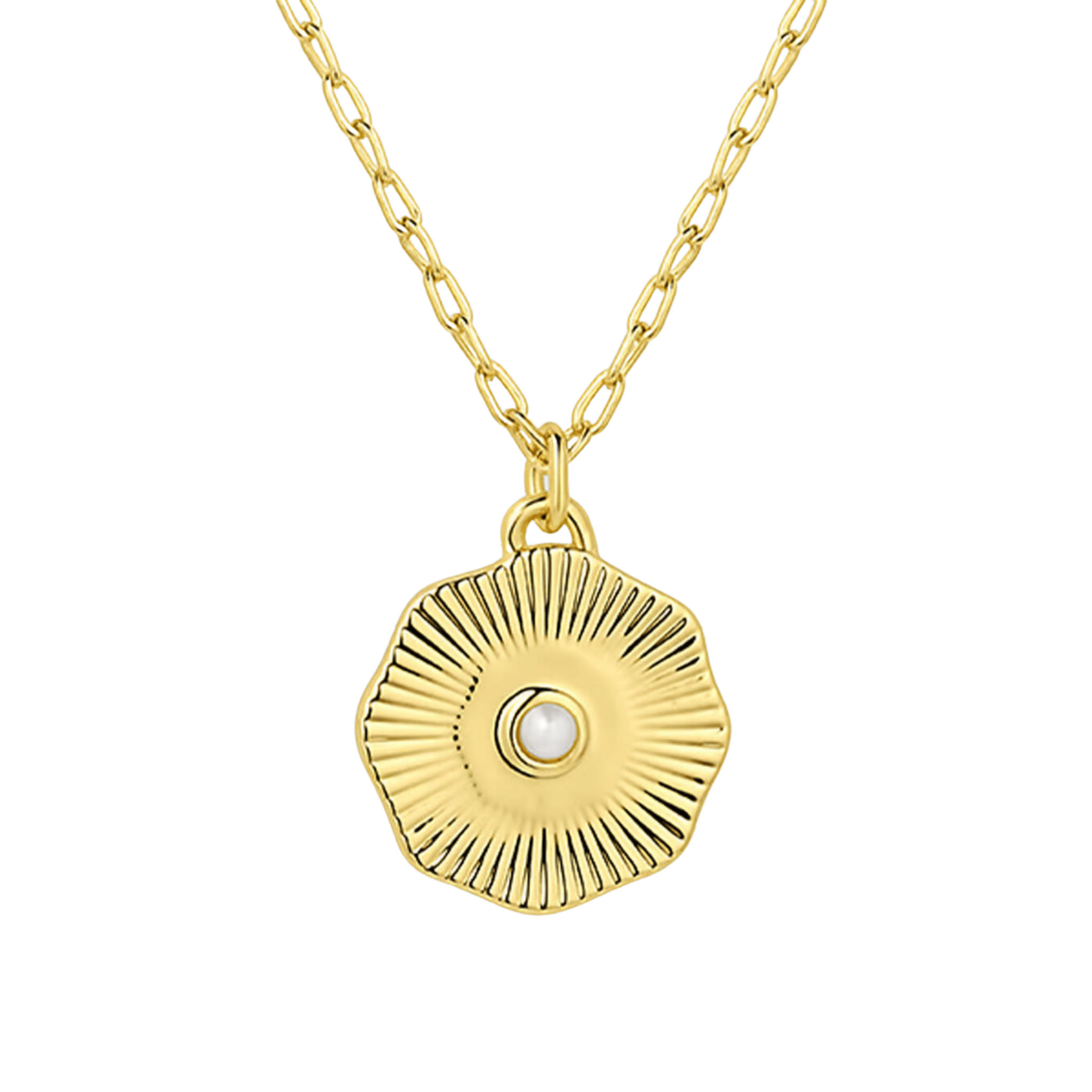 Birthstone Coin Necklace (Multiple Styles Available) - Lizzy G's Fine Gifts