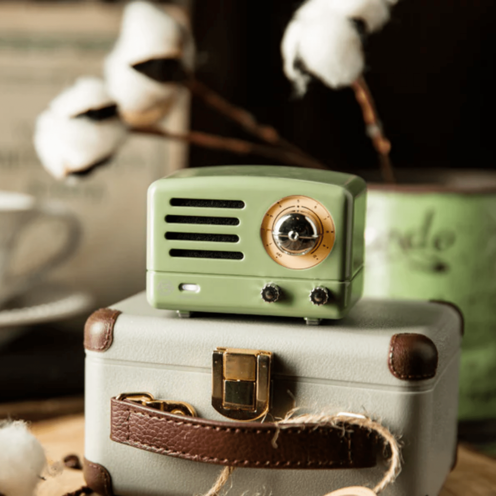 Bluetooth Radio - Green - Lizzy G's Fine Gifts