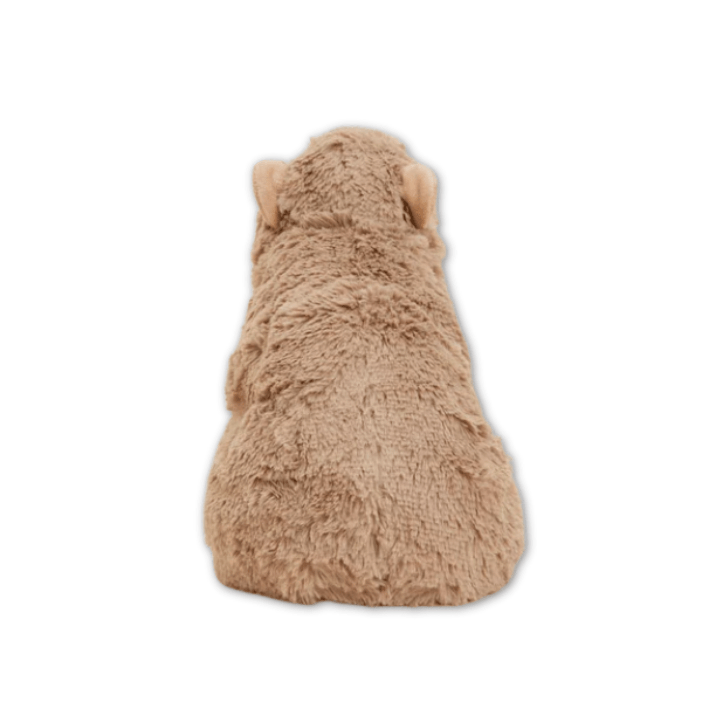 Capybara Warmies Microwavable Plush - Lizzy G's Fine Gifts