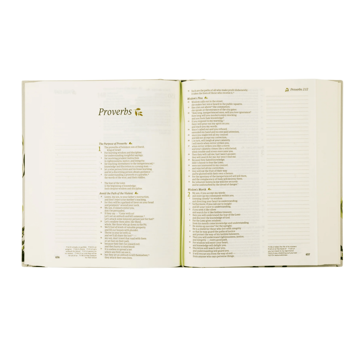 Dorset CSV Notetaking Bible - Lizzy G's Fine Gifts