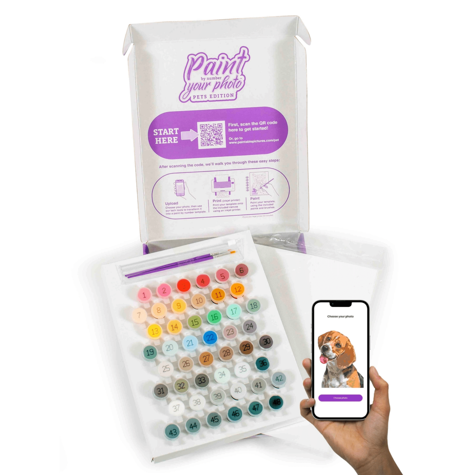 Paint Your Photo by Number Kit - Lizzy G's Fine Gifts