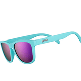 Polarized Sunglasses - Dinotopia Carnival - Lizzy G's Fine Gifts