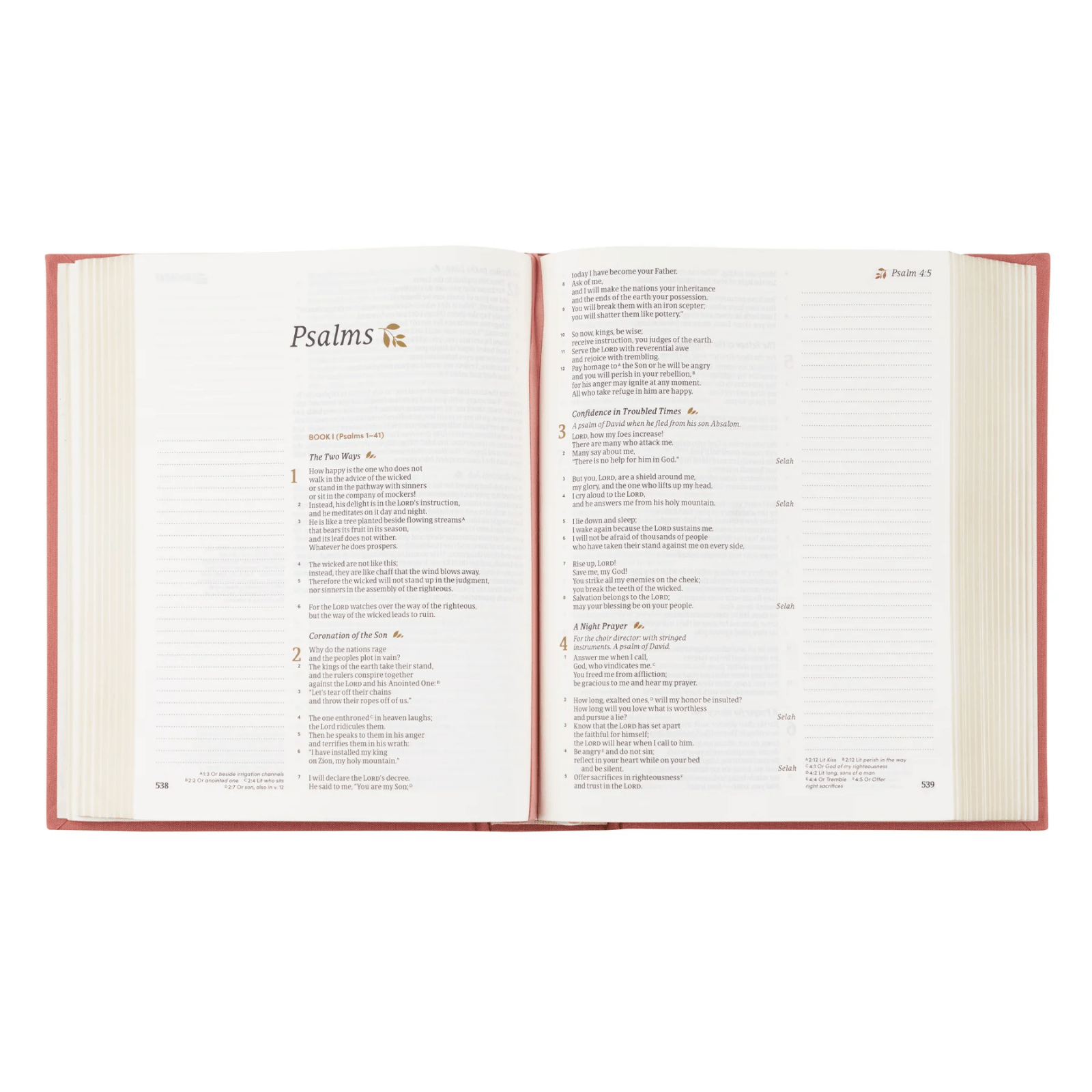 Rosedal CSB Notetaking Bible - Lizzy G's Fine Gifts