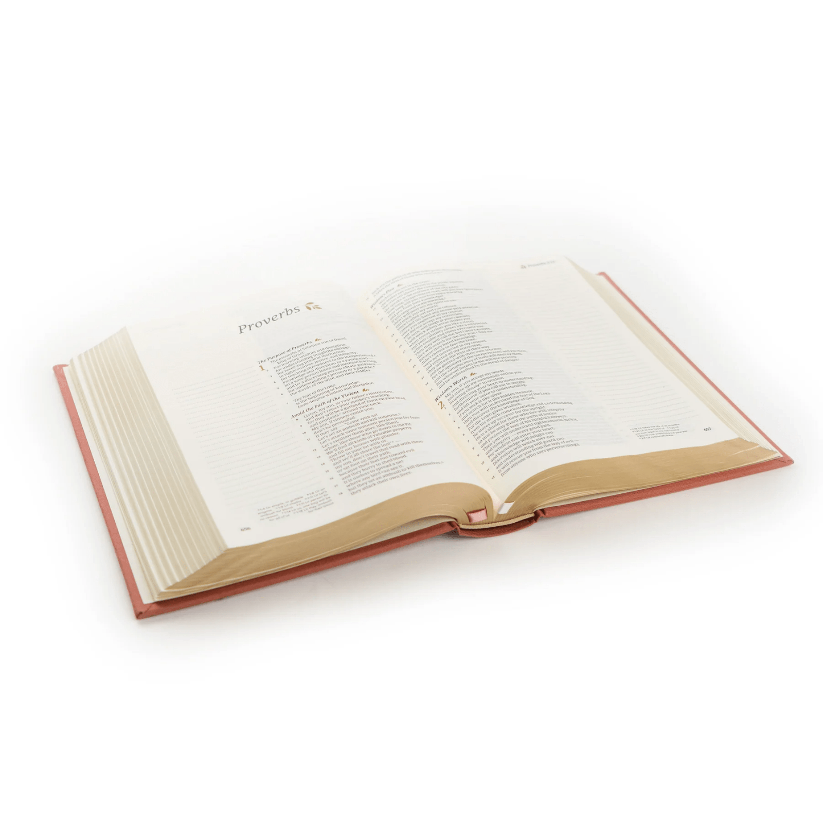 Rosedal CSB Notetaking Bible - Lizzy G's Fine Gifts