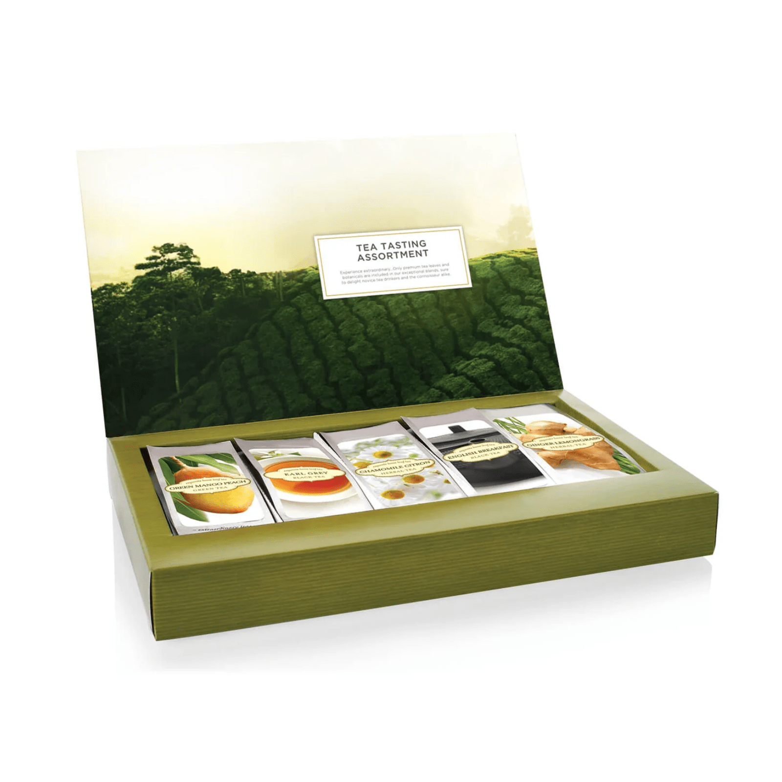 Single Steeps Loose Tea - Tea Tasting Assortment - Lizzy G's Fine Gifts