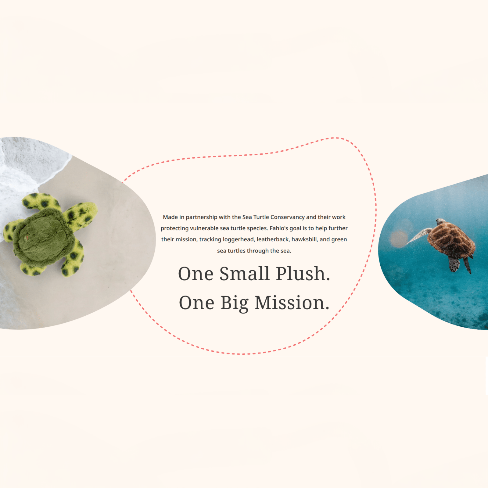 Track a Sea Turtle Plush - Lizzy G's Fine Gifts