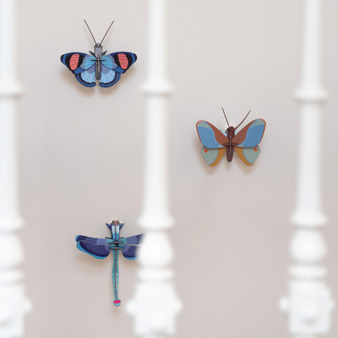 3D Object Wall Decor: Sapphire Dragonfly - Lizzy G's Fine Gifts