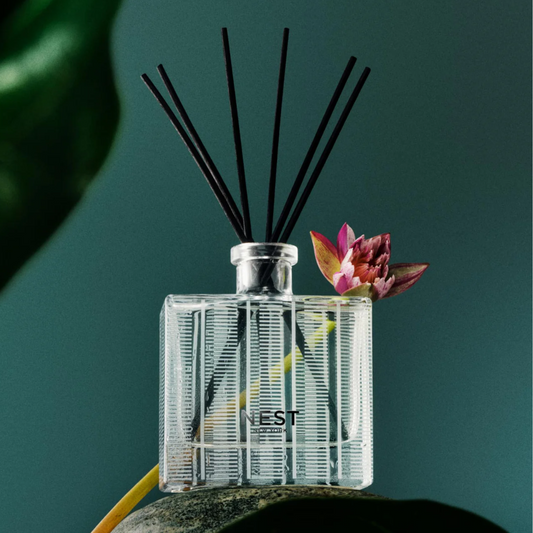 Forest Rain Diffuser