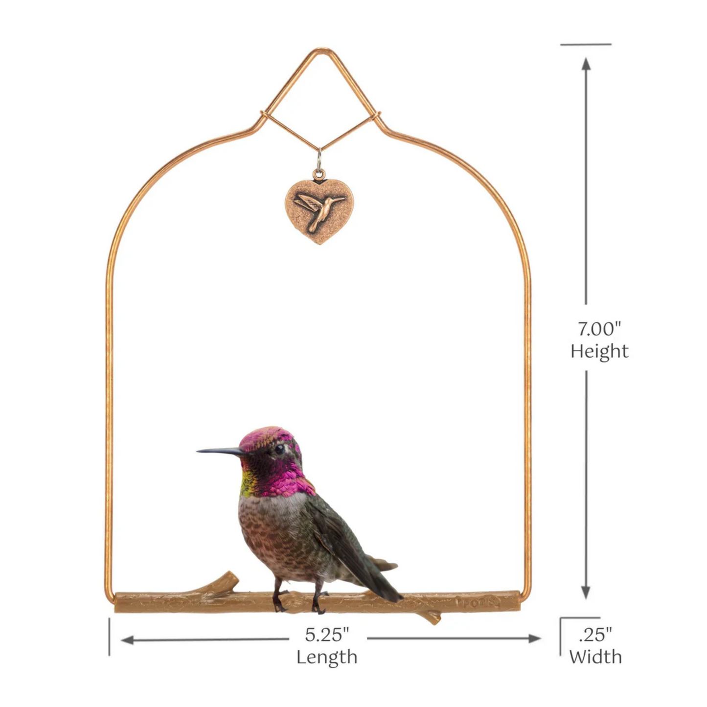 Hummingbird Swing