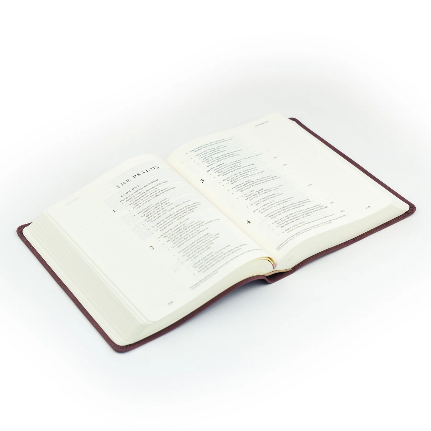 Helena ESV Journaling Bible