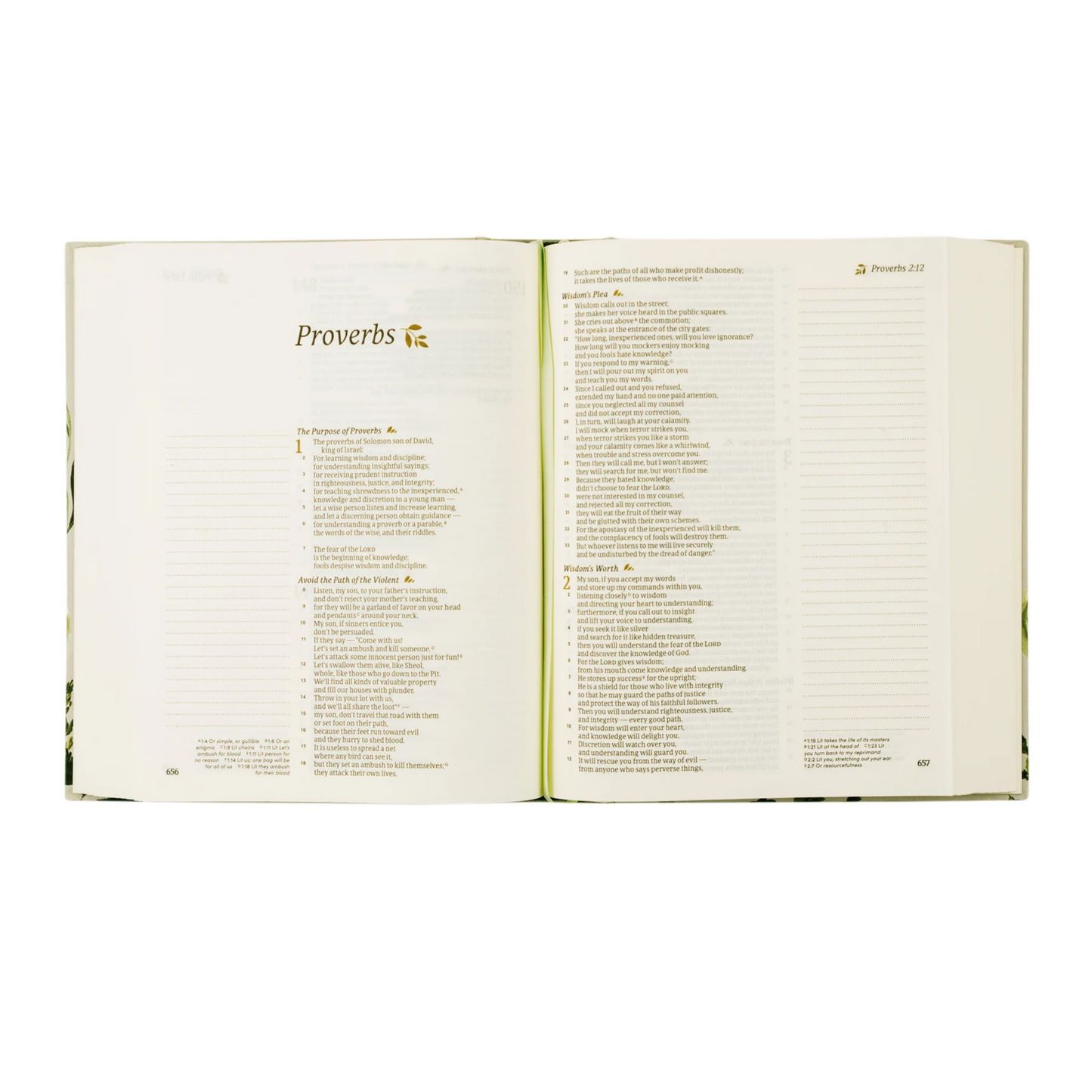 Dorset CSV Notetaking Bible