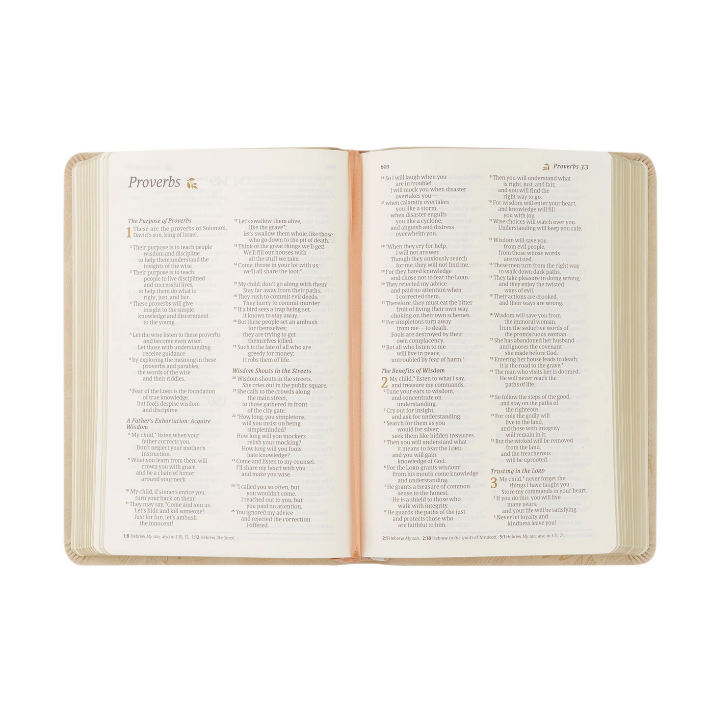 Sonora NLT Compact Bible