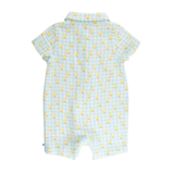 Chirping Chicks Gingham Button Up Romper