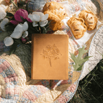 Amelia CSB Notetaking Bible - Lizzy G's Fine Gifts