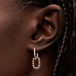 Ash Double Mini Two Tone Drop Earrings - Lizzy G's Fine Gifts