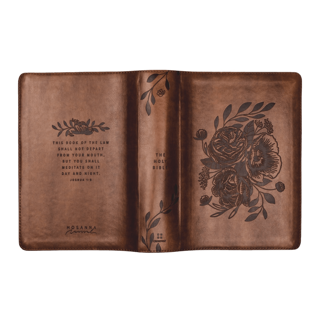 Aurora ESV Study Bible - Lizzy G's Fine Gifts