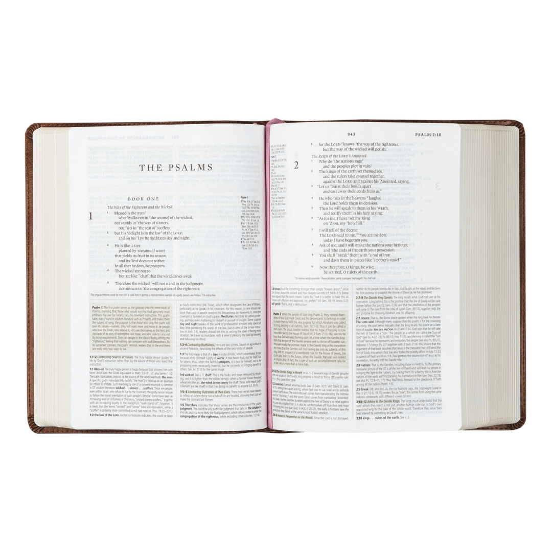 Aurora ESV Study Bible - Lizzy G's Fine Gifts