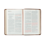 Aurora NLT Compact Bible - Lizzy G's Fine Gifts