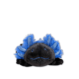 Axolotl Warmies Jr Microwavable Plush - Lizzy G's Fine Gifts