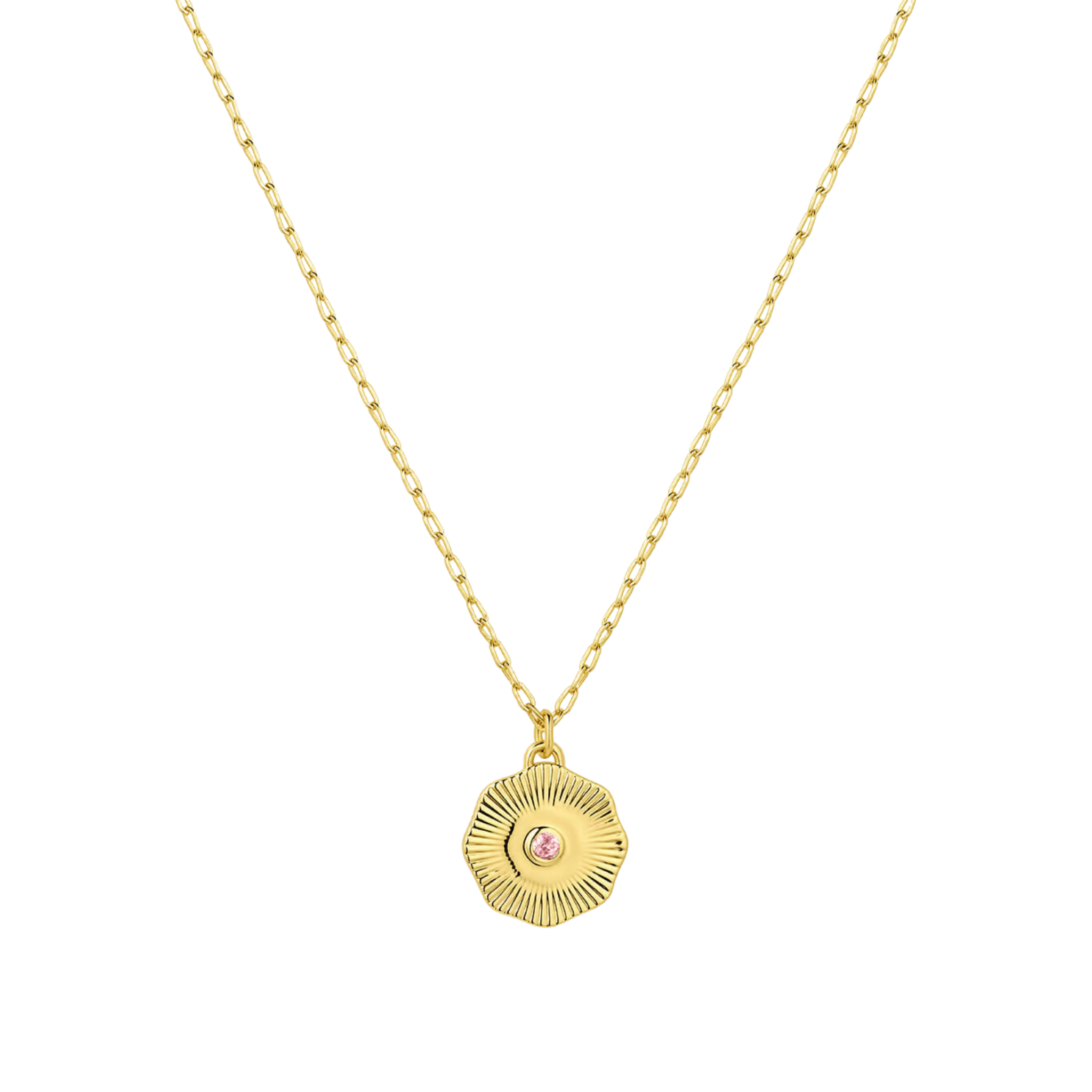 Birthstone Coin Necklace (Multiple Styles Available) - Lizzy G's Fine Gifts