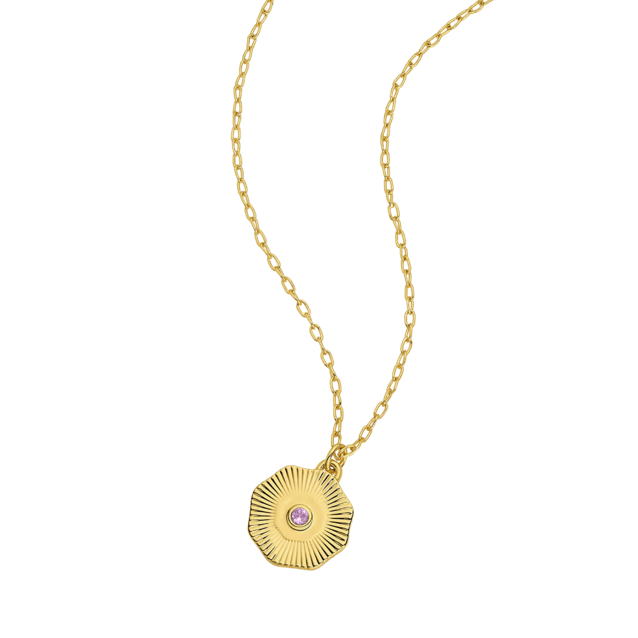 Birthstone Coin Necklace (Multiple Styles Available) - Lizzy G's Fine Gifts
