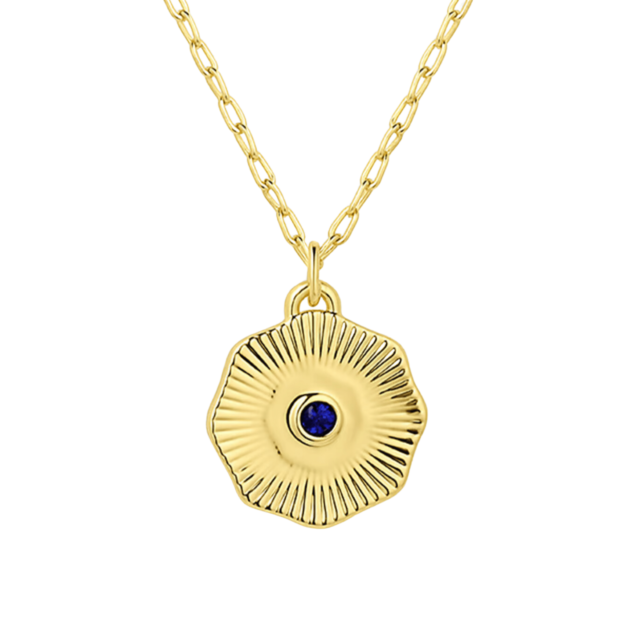 Birthstone Coin Necklace (Multiple Styles Available) - Lizzy G's Fine Gifts