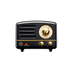 Bluetooth Radio - Black - Lizzy G's Fine Gifts