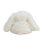Bunny with Gingham Ears Warmies Microwavable Plush - Lizzy G's Fine Gifts