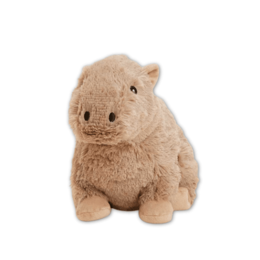 Capybara Warmies Microwavable Plush - Lizzy G's Fine Gifts