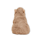 Capybara Warmies Microwavable Plush - Lizzy G's Fine Gifts