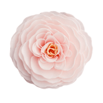 Cherry Blossom Petal Soap Flower - Lizzy G's Fine Gifts