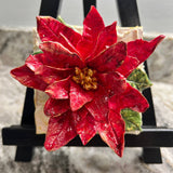 Christmas Poinsettia Sculpted Art Block - 4x4 - Lizzy G's Fine Gifts
