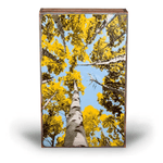 Depth Perception - 208 - Copper Art Block - Lizzy G's Fine Gifts