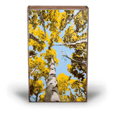 Depth Perception - 208 - Copper Art Block - Lizzy G's Fine Gifts