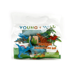 Dinosaur - Sensory Dough Bag - Lizzy G's Fine Gifts
