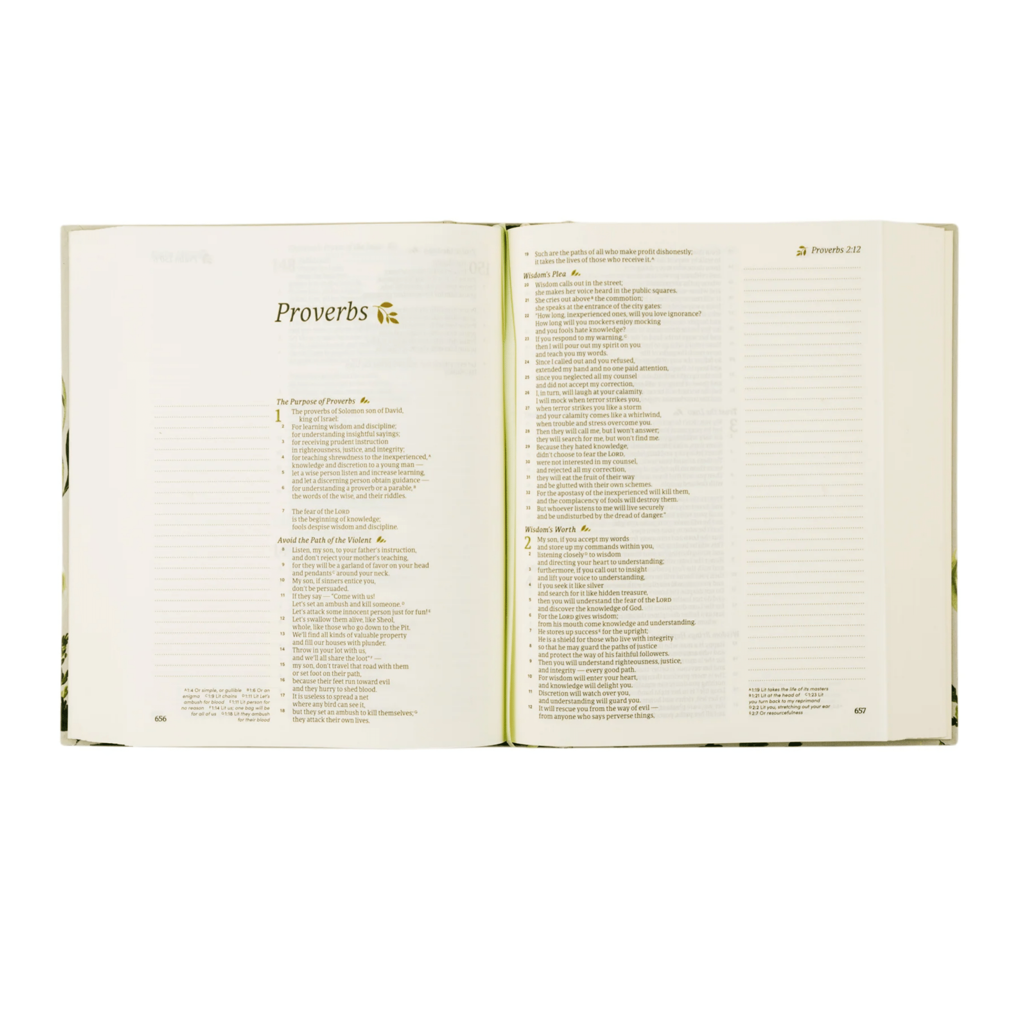 Dorset CSV Notetaking Bible - Lizzy G's Fine Gifts