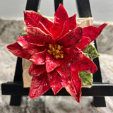 Christmas Red Poinsettia Sculpted Art Block - 4X4