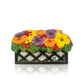 Floral Window Box Mini - Lizzy G's Fine Gifts