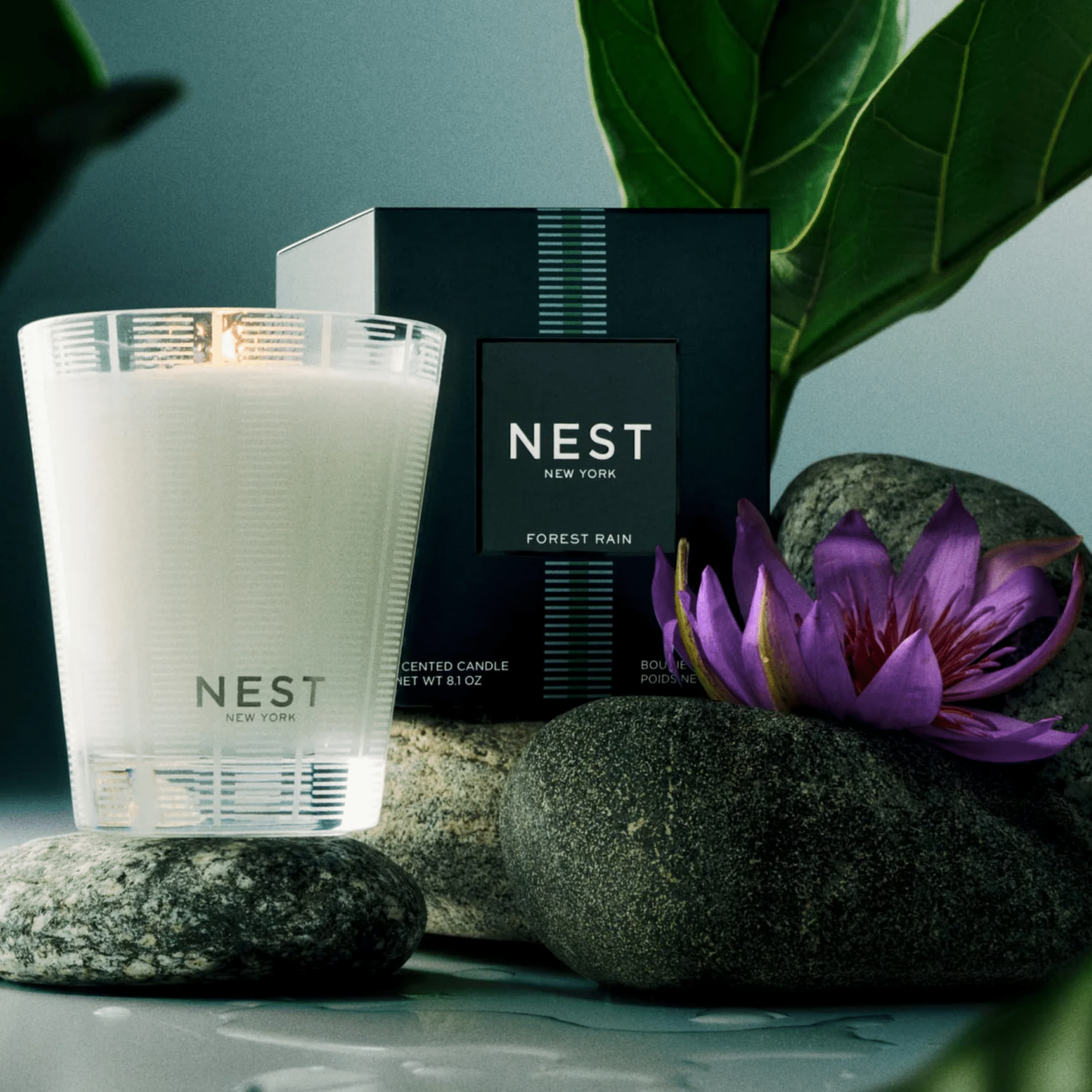 Forest Rain Candle - Lizzy G's Fine Gifts