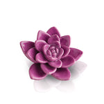 Get Growing! Mini - Lizzy G's Fine Gifts