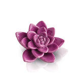 Get Growing! Mini - Lizzy G's Fine Gifts