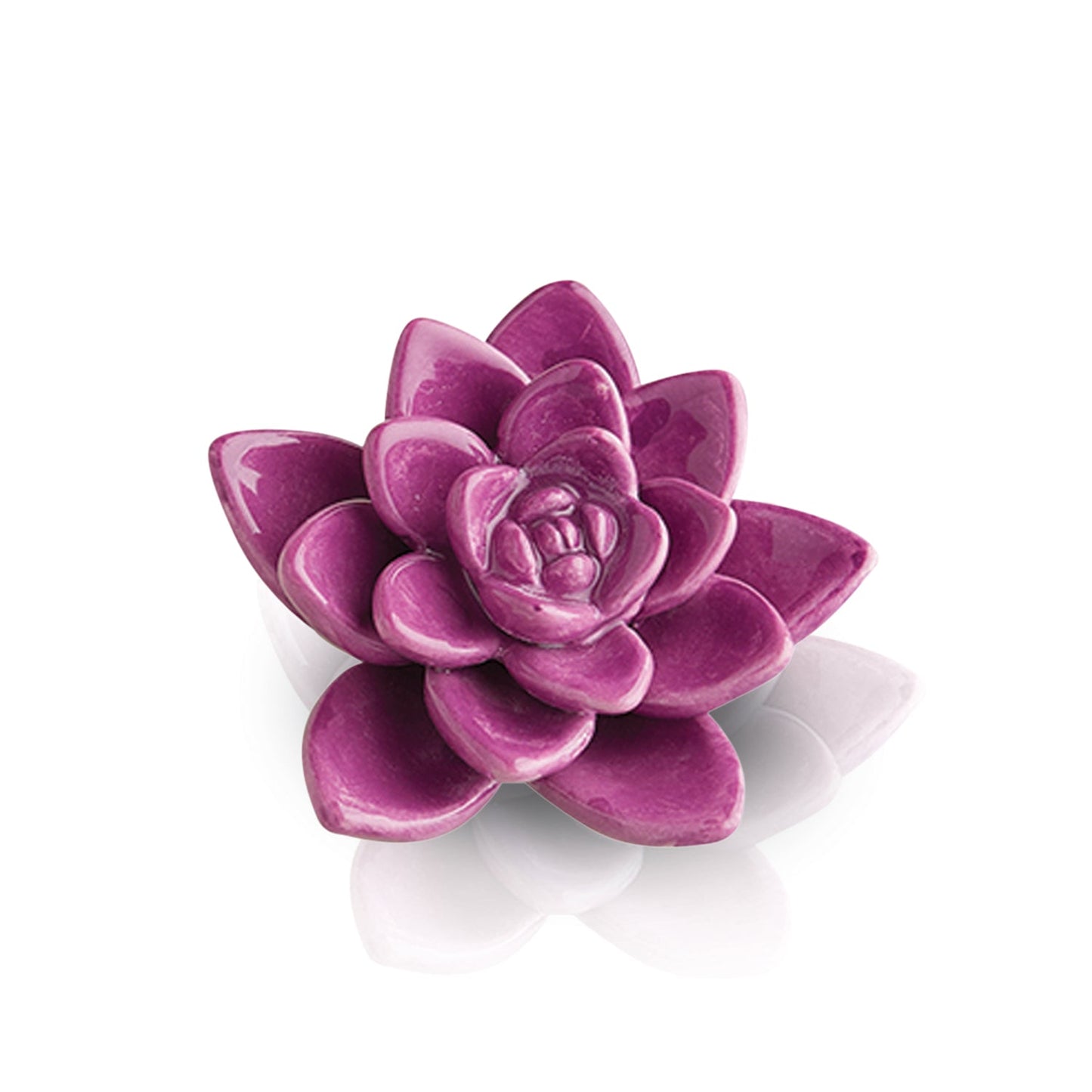 Get Growing! Mini - Lizzy G's Fine Gifts