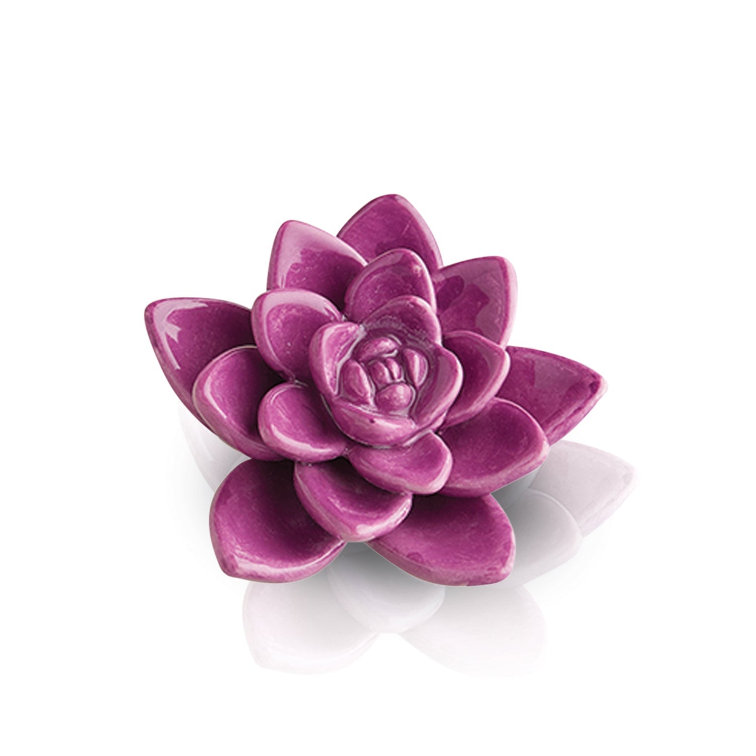 Get Growing! Mini - Lizzy G's Fine Gifts