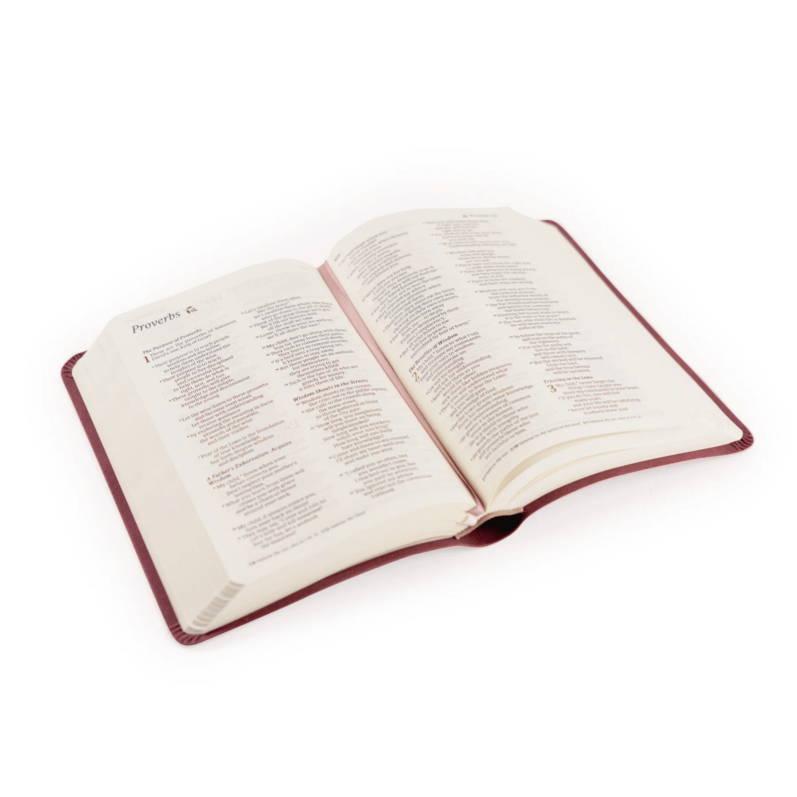 Helena NLT Compact Bible - Lizzy G's Fine Gifts