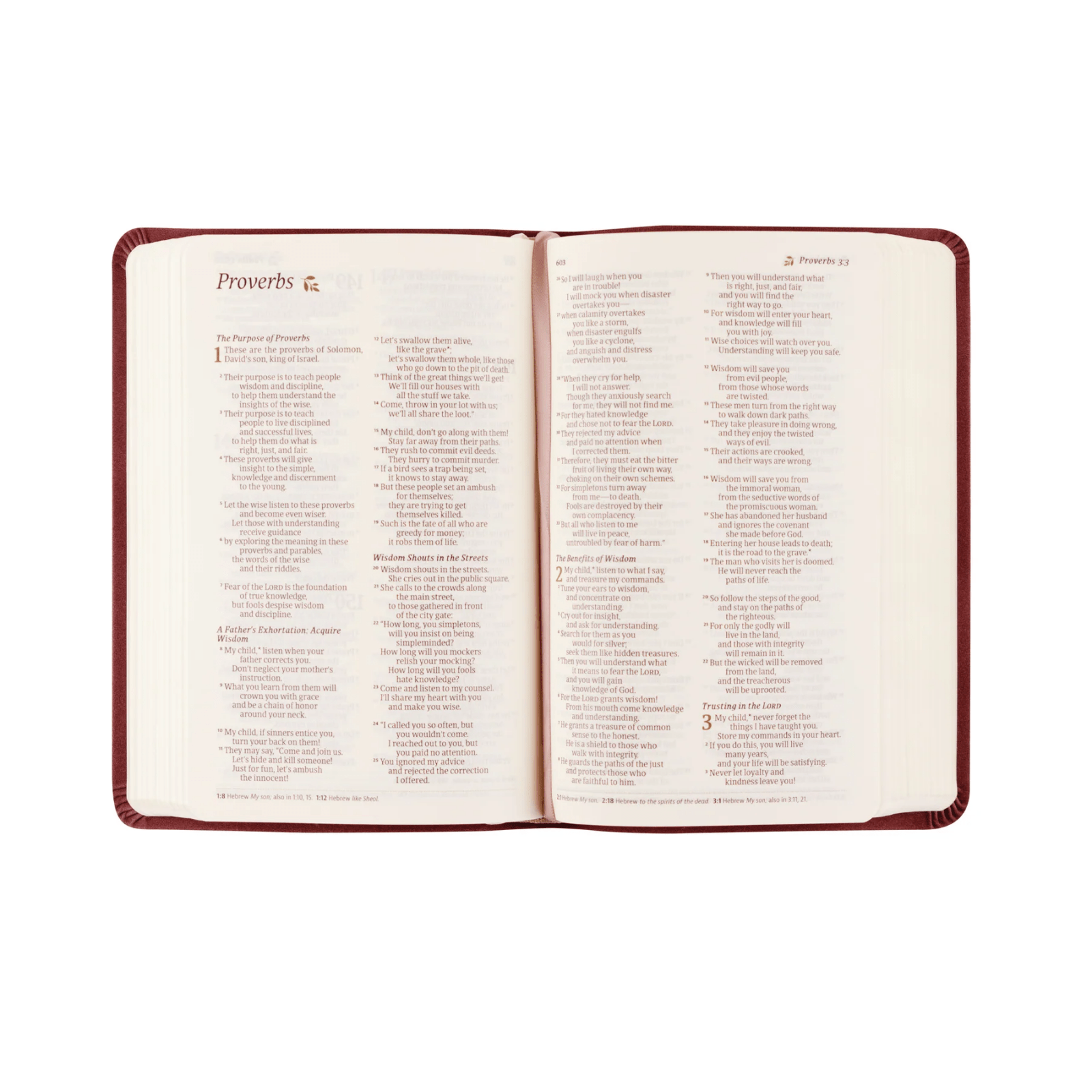 Helena NLT Compact Bible - Lizzy G's Fine Gifts