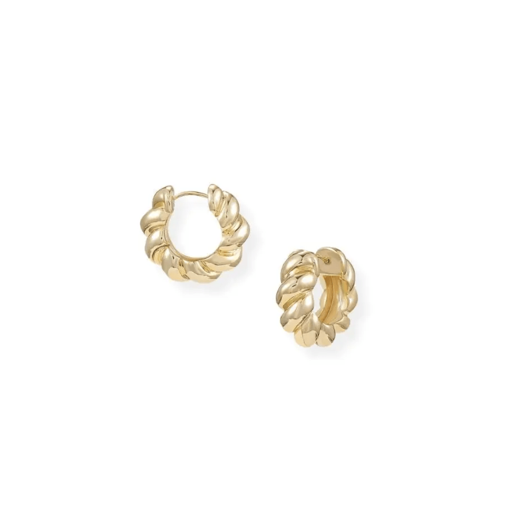 Heritage Mini Hoop Earrings - Lizzy G's Fine Gifts