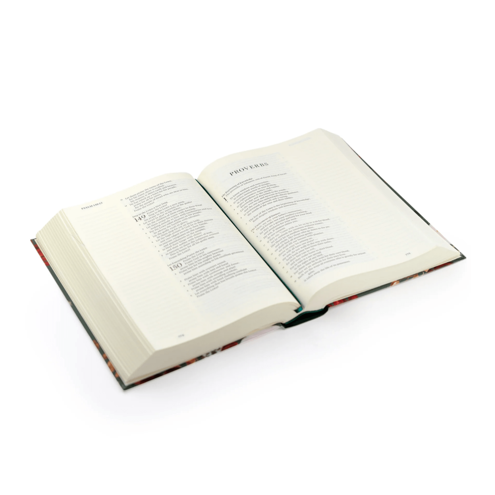 Hollis ESV Large Print Journaling Bible - Lizzy G's Fine Gifts